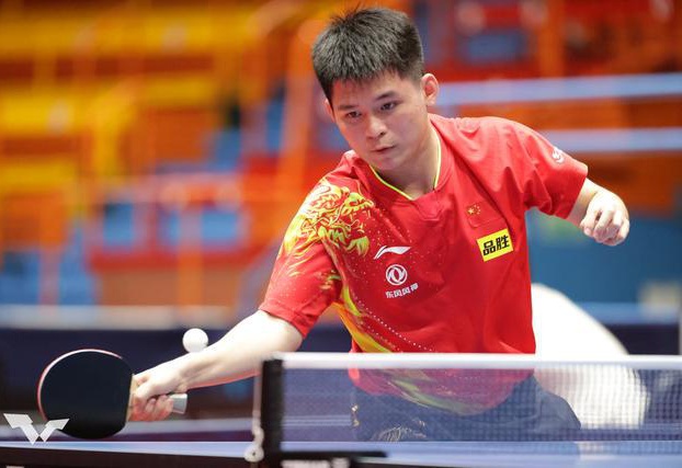 的某项程序 的某项程序