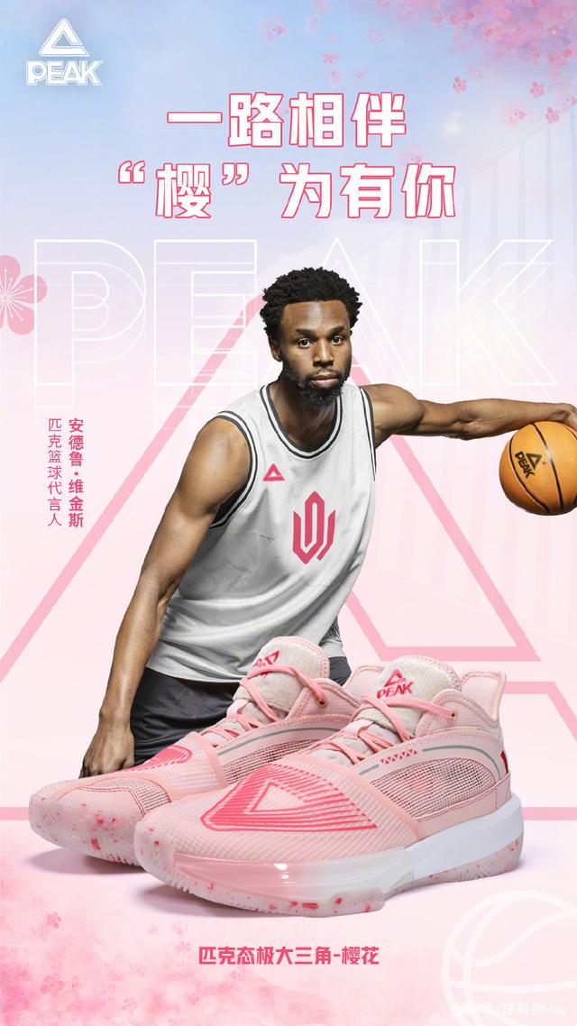 案是